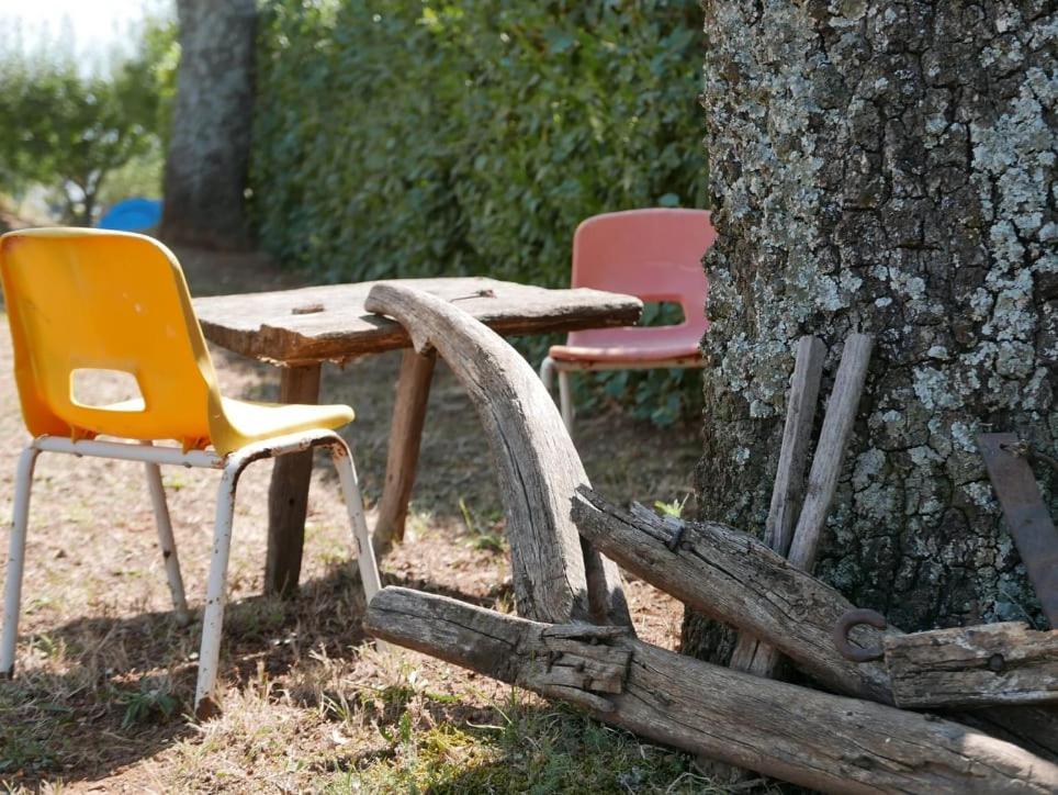 Al Bosco Delle Api Otel Gallicchio Dış mekan fotoğraf