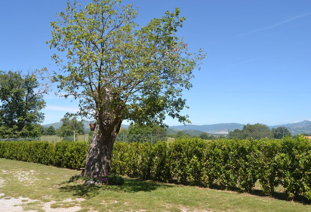 Al Bosco Delle Api Otel Gallicchio Dış mekan fotoğraf