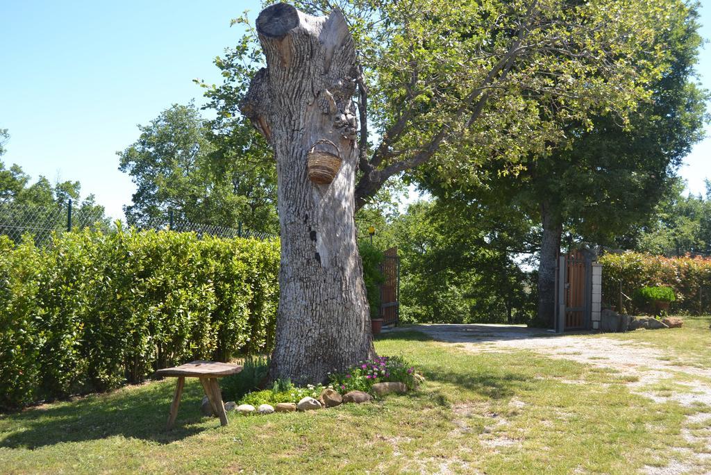 Al Bosco Delle Api Otel Gallicchio Dış mekan fotoğraf