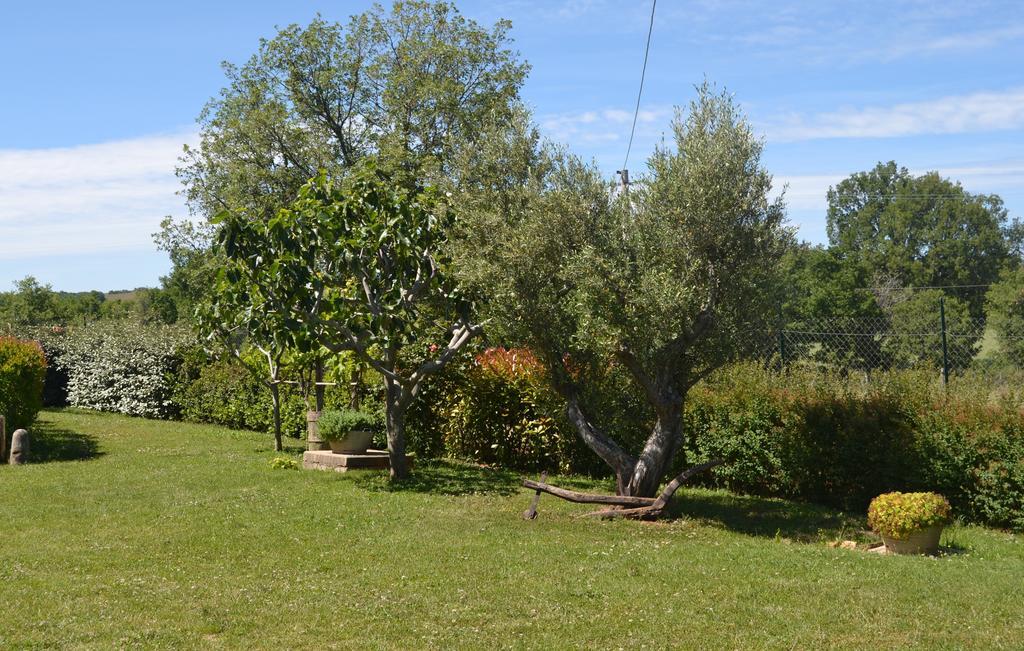 Al Bosco Delle Api Otel Gallicchio Dış mekan fotoğraf