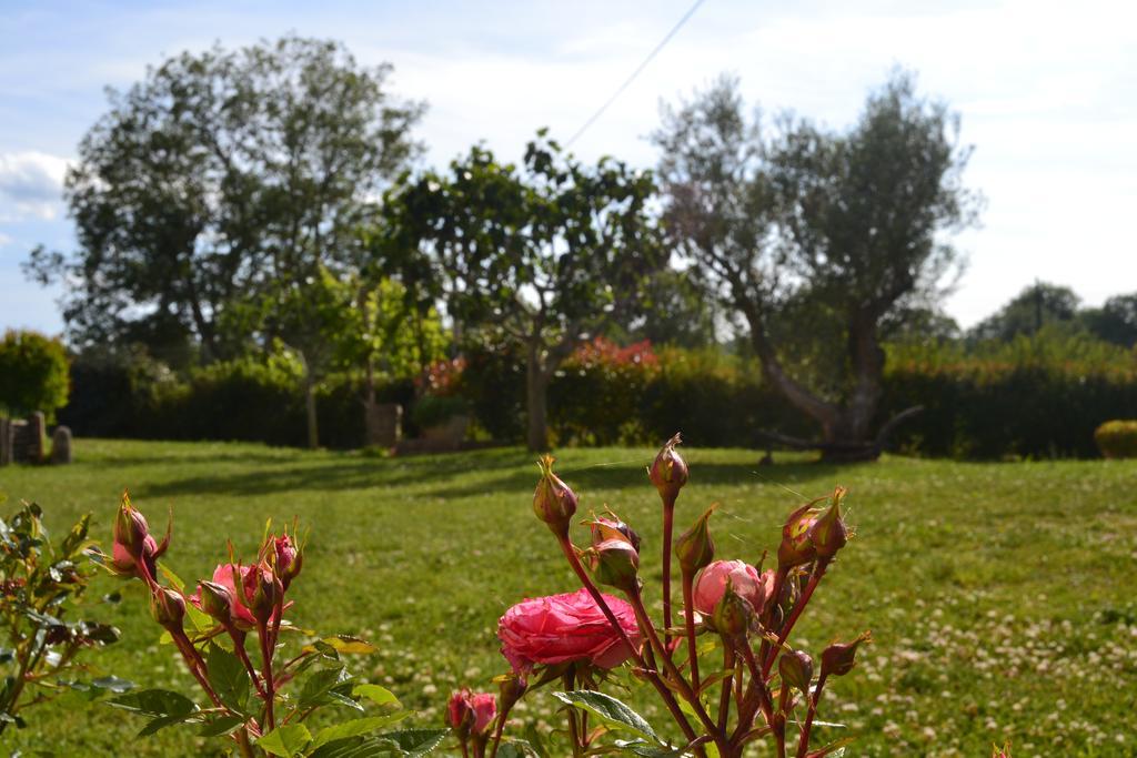 Al Bosco Delle Api Otel Gallicchio Dış mekan fotoğraf